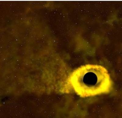 ماموریت TESS ناسا نخستین سیاهچالۀ ستاره خرد کن خود را رصدکرد