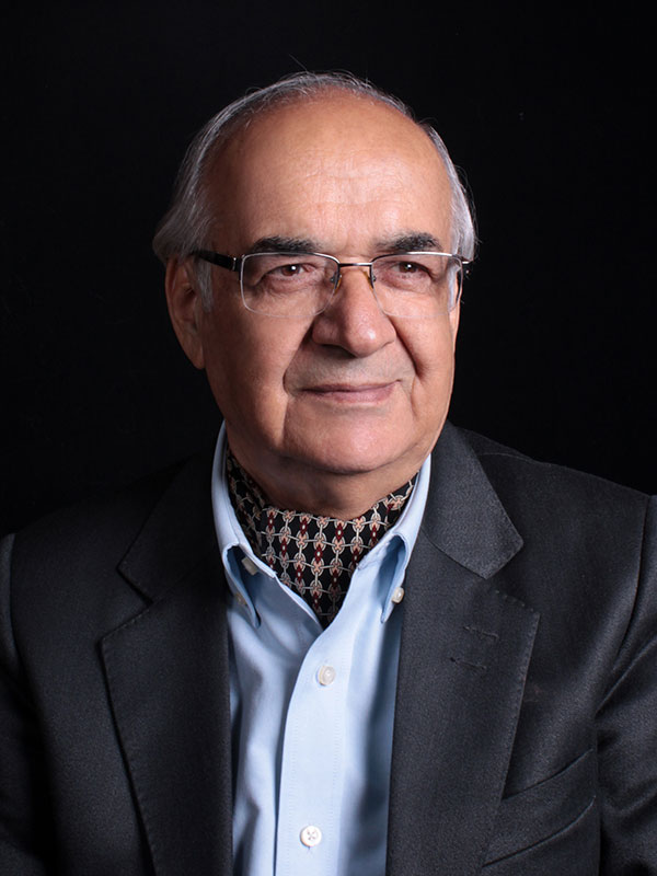 مهندس احمد دالکی